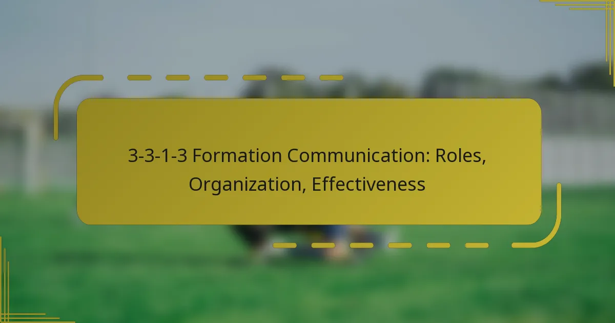 3-3-1-3 Formation Communication: Roles, Organization, Effectiveness
