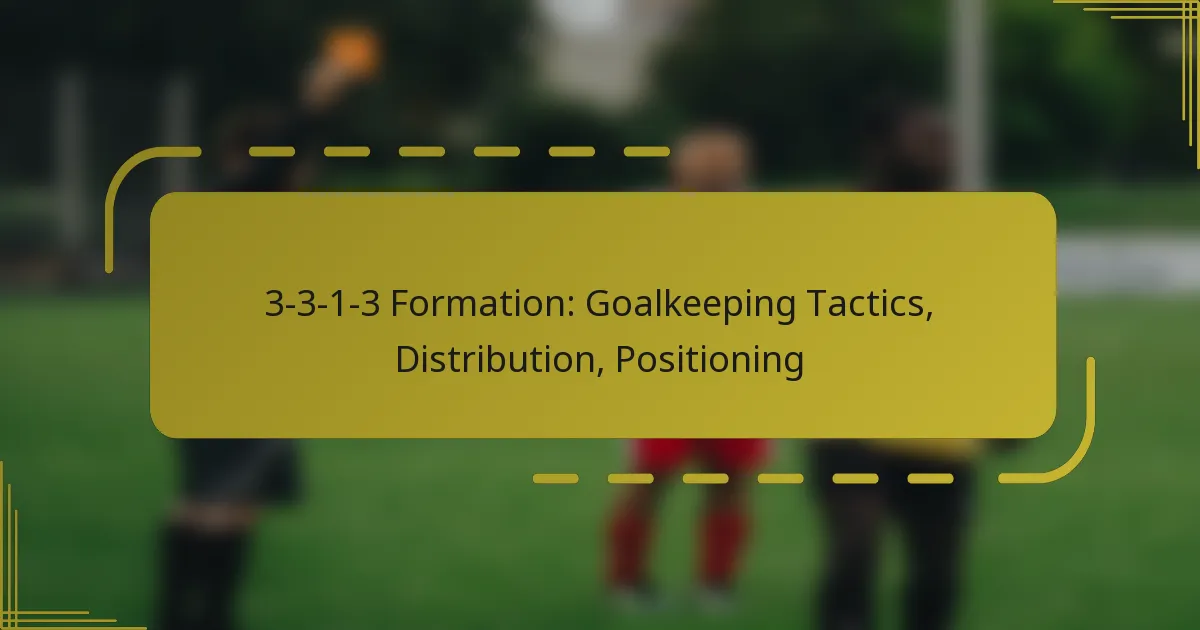 3-3-1-3 Formation: Goalkeeping Tactics, Distribution, Positioning