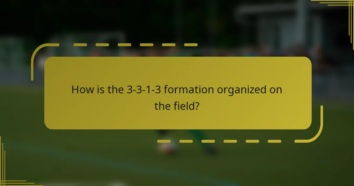 How is the 3-3-1-3 formation organized on the field?