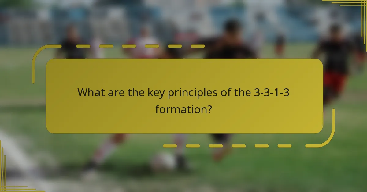 What are the key principles of the 3-3-1-3 formation?