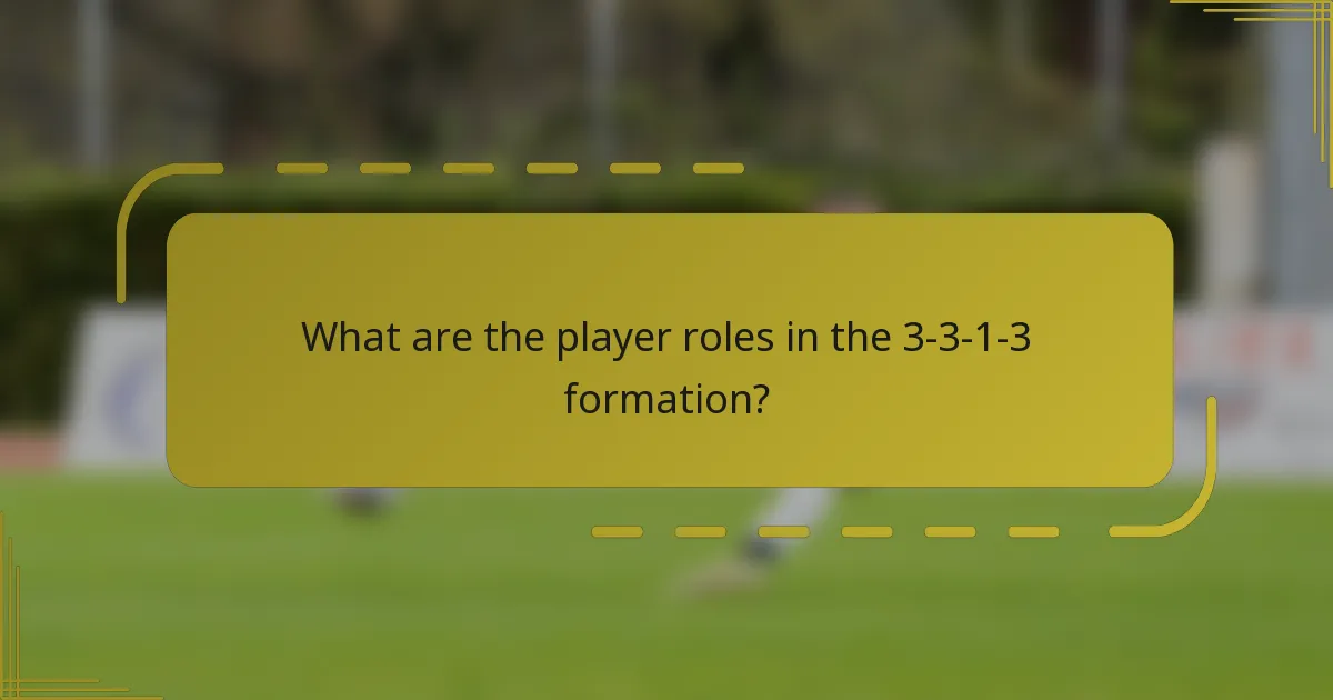 What are the player roles in the 3-3-1-3 formation?